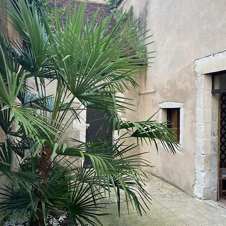 Cosy Appartement Hyper Centre Ville Avec Cour + Patio Auxerre Bagian luar foto