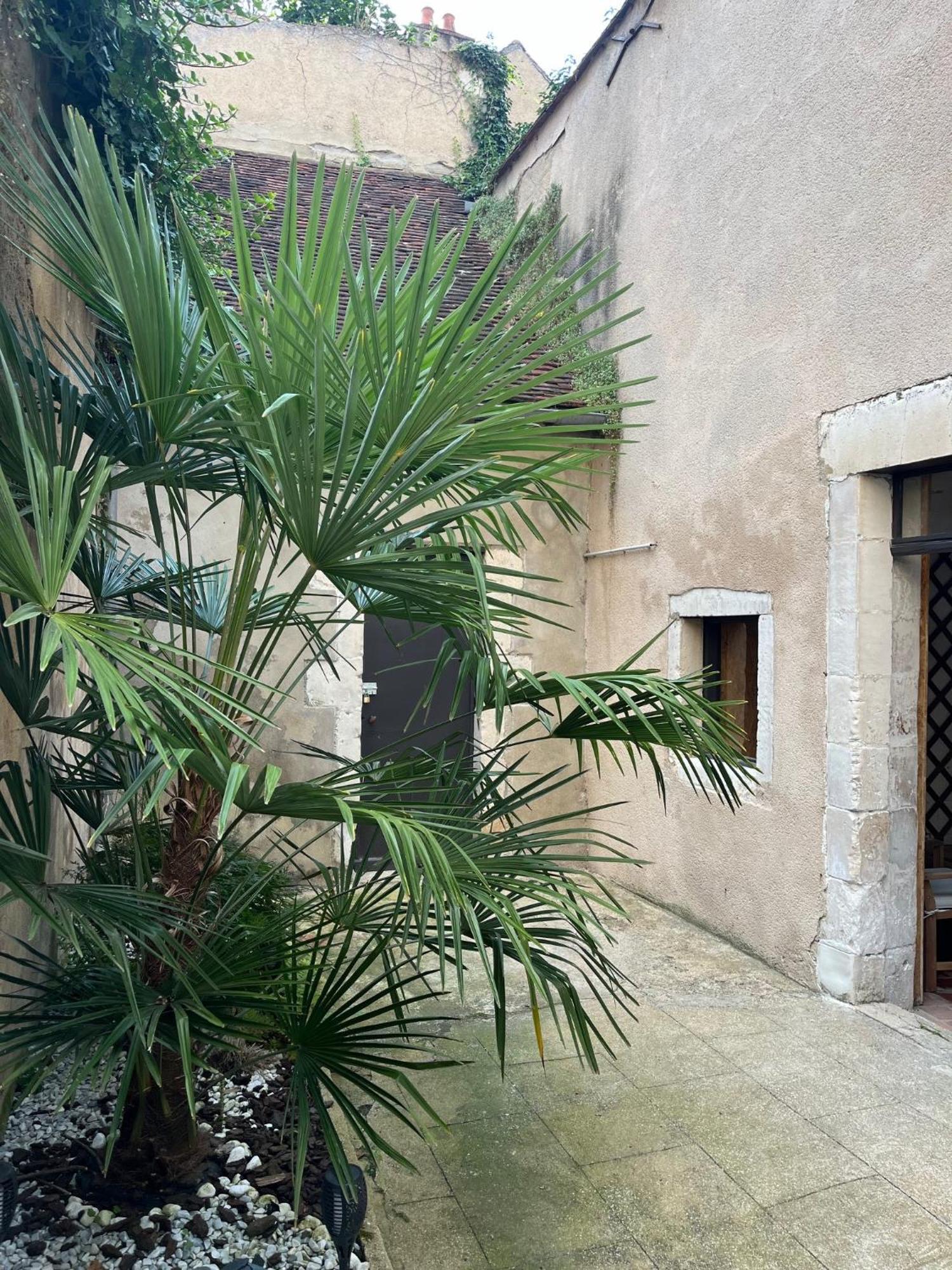 Cosy Appartement Hyper Centre Ville Avec Cour + Patio Auxerre Bagian luar foto